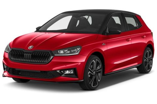 SKODA FABIA IV. OCHRANNÁ PLACHTA NA AUTO - M (2021-)