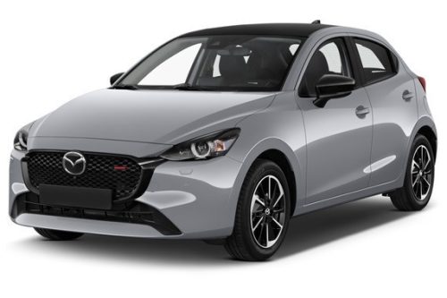 MAZDA 2 (DJ) OCHRANNÁ PLACHTA NA AUTO - M (2014-2022)