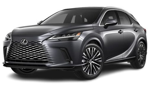 LEXUS RX (AL30) OCHRANNÁ PLACHTA NA AUTO - XL (2022-)